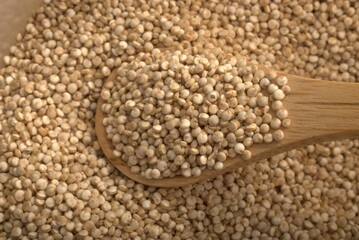 alimento, semilla, alforfón, ingrediente, granito, café, salubre, blanco, aislada, ajonjolí, crudo, mole, insaturado, organica, semilla, bol, cereal, lens culinaris, vegetariana, close-up, apiladas, n