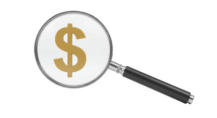 Isolated Magnifying Glass Over Dollar Sign