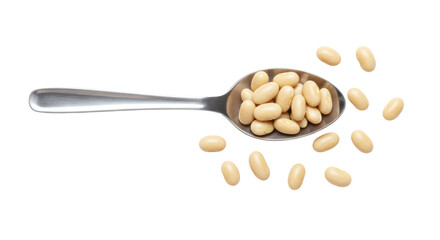 Isolated White Beans on Silver Spoon