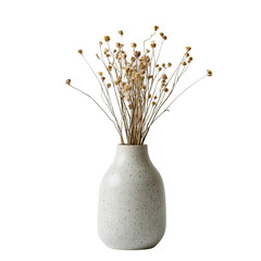 close-up of ceramic vase with dried flowers in natural light

