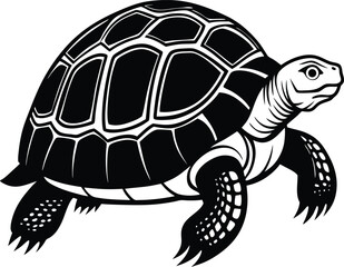 Fototapeta premium turtle vector illustration