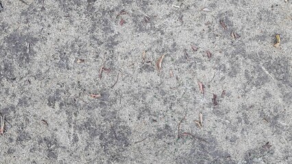 The ground has a little green grass in areas where there is both dead grass and growing grass and...