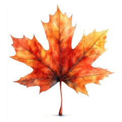 Fototapeta premium A detailed maple leaf shines in vibrant colors under golden sunlight