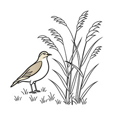 A vector illustration depicts a hummingbird on a bamboo branch amidst floral decorations and grass leaves in a spring nature design