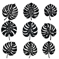 Monstera Leaf Silhouette Set, Collection of Nine Monstera Deliciosa Leaf Silhouettes in Black Vector