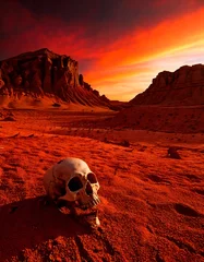 Gardinen Dramatic desert landscape with a weathered skull under a fiery sky. Evokes themes of mortality, desolation, survival. Perfect for book covers, posters, and editorial use. © SolaruS