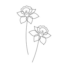 Hand drawn daffodil flower vector. Linear icon. Line continuous drawing. Floral design, botanical print, card, wall art poster, logo, sign, doodle, symbol. Abstract cartoon plant illustration