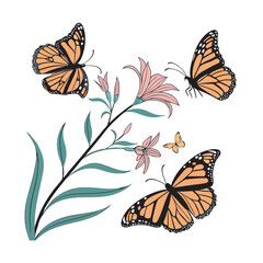 set of butterflies isolated