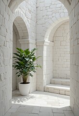 Fototapeta premium White architectural space featuring arches and a potted plant, creating a serene and minimalistic indoor scene with abundant natural light.