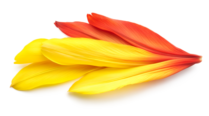 A close-up of a yellow and orange flower with a red tip