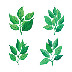 Set of green leaf isolated on white background