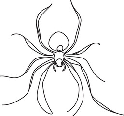 Scary Spider Illustration