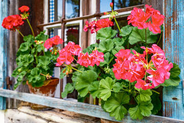 typical old bavarian window