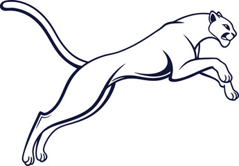 vector illustration of a cat