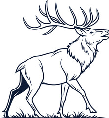 vector illustration of a deer