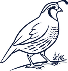 white dove on white background