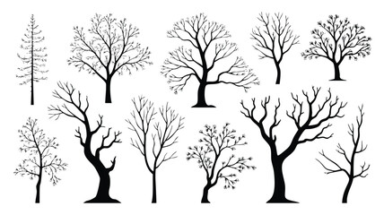 A set of elegant black and white silhouettes of various tree types, ideal for graphic design, illustrations, and seasonal projects