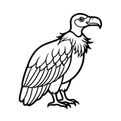 Vulture Outline Vector Silhouette on White Background