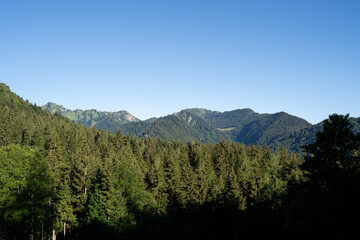 Obraz premium Landscape with hills and trees in the mountains