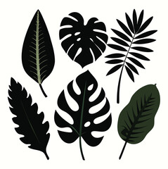 Silhouette Vector Tree "Tropical Leaves Silhouettes Bundle 6 Leaf Types Including Monstera and Palm for Exotic Designs, Sublimation, and Botanical Crafts