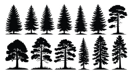 Fototapeta premium A collection of black silhouettes of various tree types, including fir and pine trees, displayed against a white background
