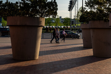 Fototapety na wymiar - Fototapeta24.pl