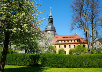 Fototapeta premium St John s Church in Bad Schandau, Saxon Switzerland, with beautiful blooming trees