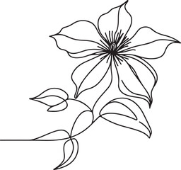 Simple Sketch of Clematis Flower