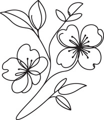 Minimal Cherry Blossom Flower Drawing
