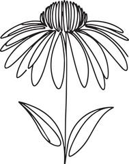 Elegant Echinacea Flower Line Art