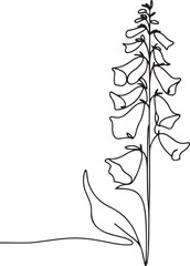 Foxglove Flower Line Drawing on White Background © Tanzu