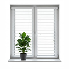 White window with closed blinds, potted plant standing on window isolated on a white
