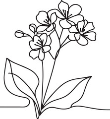 Kalanchoe flower outline on white background
