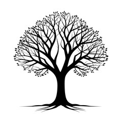 Obraz premium Elegant black tree silhouette with intricate branches and roots 