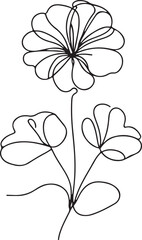 Charming Nasturtium flower line drawing on white