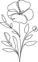 Obraz premium Elegant Sweet Pea flower sketch on white