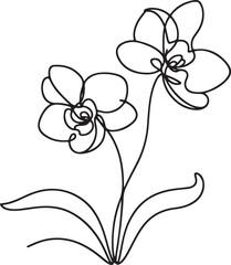 Orchid flower icon drawing on white background