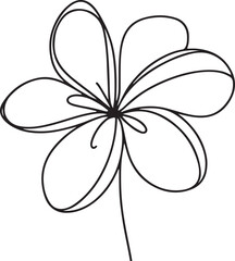 Plumeria flower line art on white background