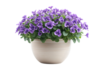 A vibrant potted plant with lush purple flowers and green foliage perfect for home decor or ga