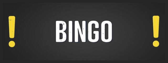 Fototapeta premium Bingo (bingo) - A blackboard illustration with white text.