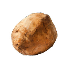 fresh whole sweet potato without shadows
