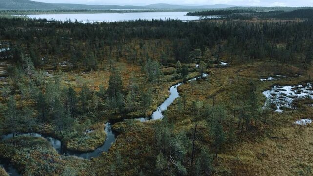 The marshes of Karelia. Bird's-eye view of a natural swamp from above, against the background of wild nature, Russia. Peat bog in autumn. Bird's-eye view of the forest river flowing through the swamp