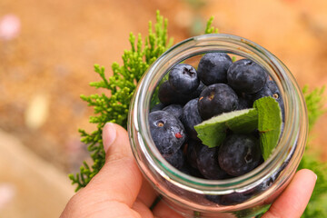 Porción de arándanos para el día a día 
