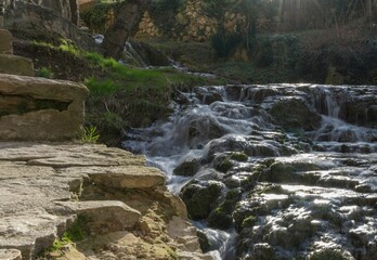 Obraz premium Serene Waterfall in a Lush Forest