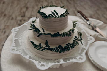 white wedding cake in green eco style, wedding tradition, love and family concept