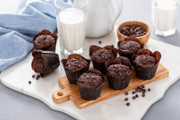 Chocolate chip muffins on a board served with milk
