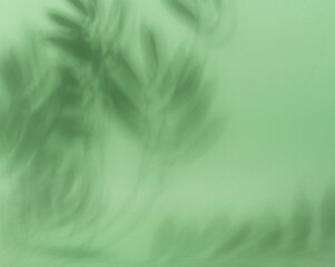 Soft, blurred shadows of palm leaves are cast across a solid light green background