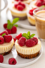 Classic New York cheesecakes in individual cups topped with fresh raspberry