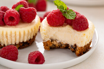 Classic New York cheesecakes in individual cups topped with fresh raspberry with a bite taken