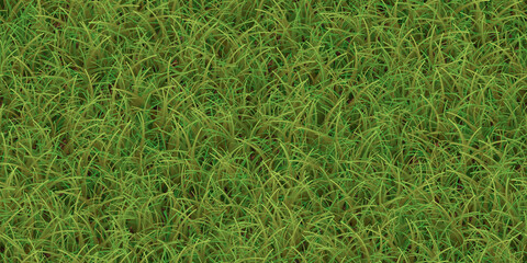 Lush grass texture. Field background. Park lawn pattern. Textured meadow backdrop.